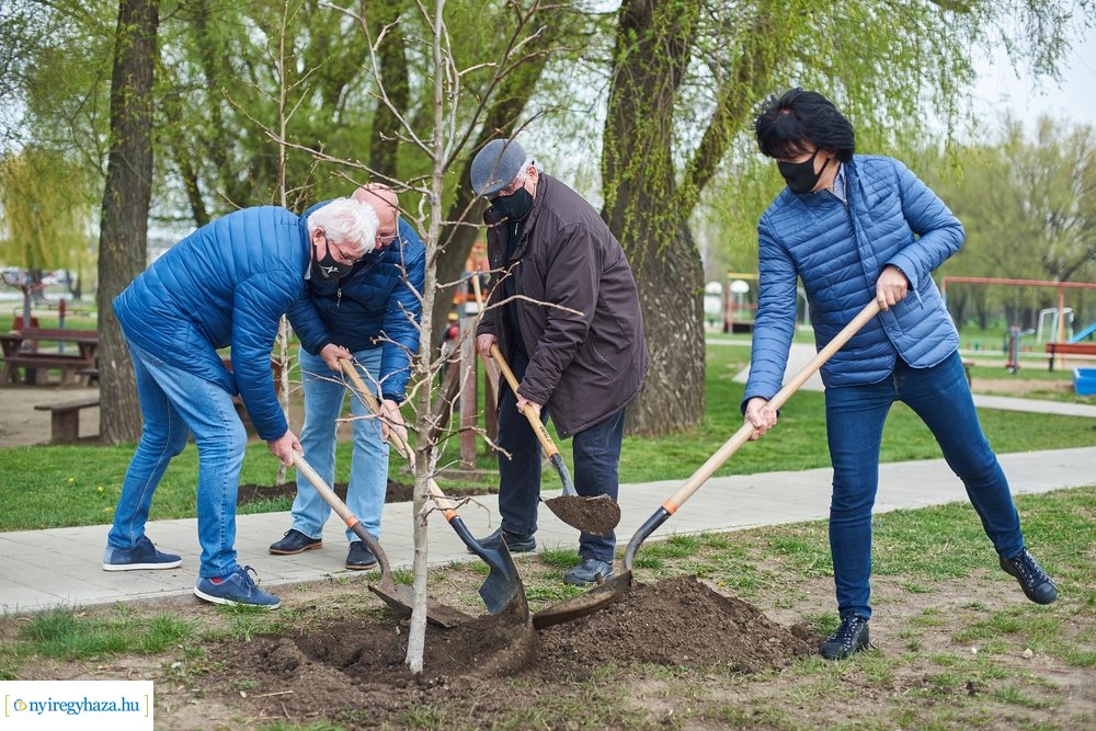 Faültetés a Bujtosi Városligetben 20210422