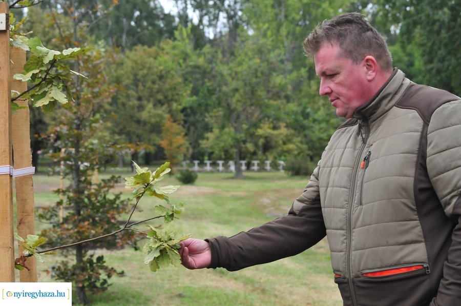 Faültetés a Bujtosi Városligetben 20231009