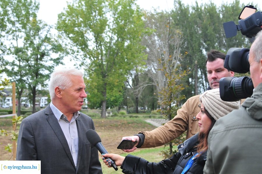 Faültetés a Bujtosi Városligetben 20231009