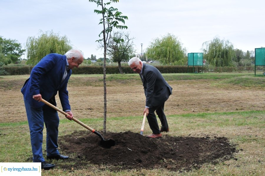 Faültetés a Bujtosi Városligetben 20231009