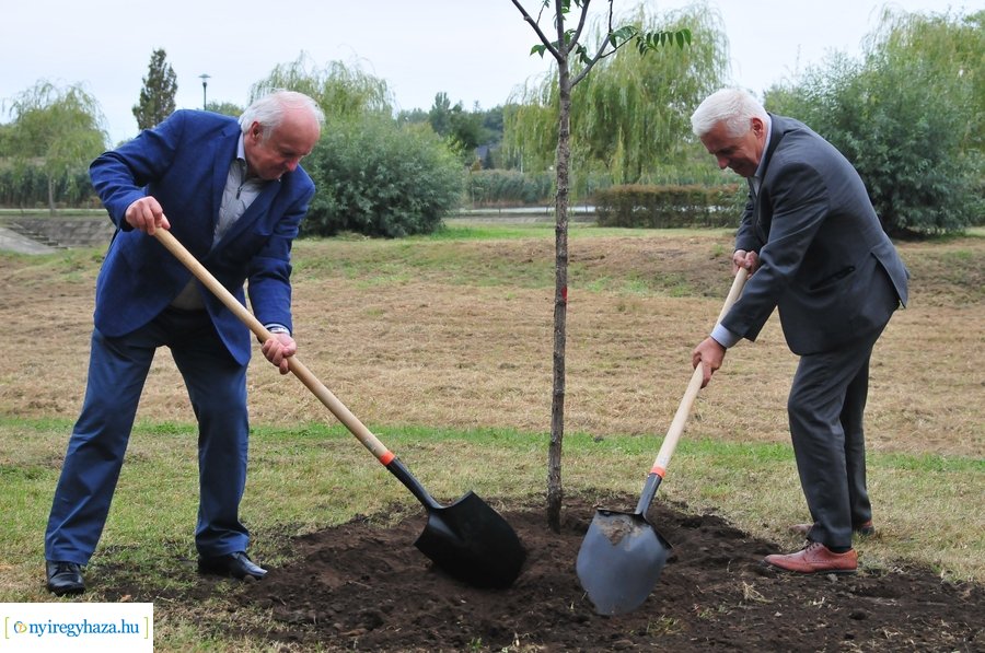 Faültetés a Bujtosi Városligetben 20231009