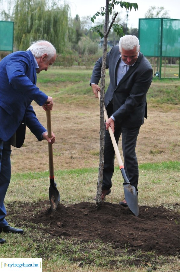 Faültetés a Bujtosi Városligetben 20231009