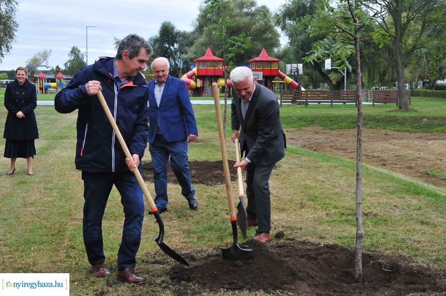 Faültetés a Bujtosi Városligetben 20231009