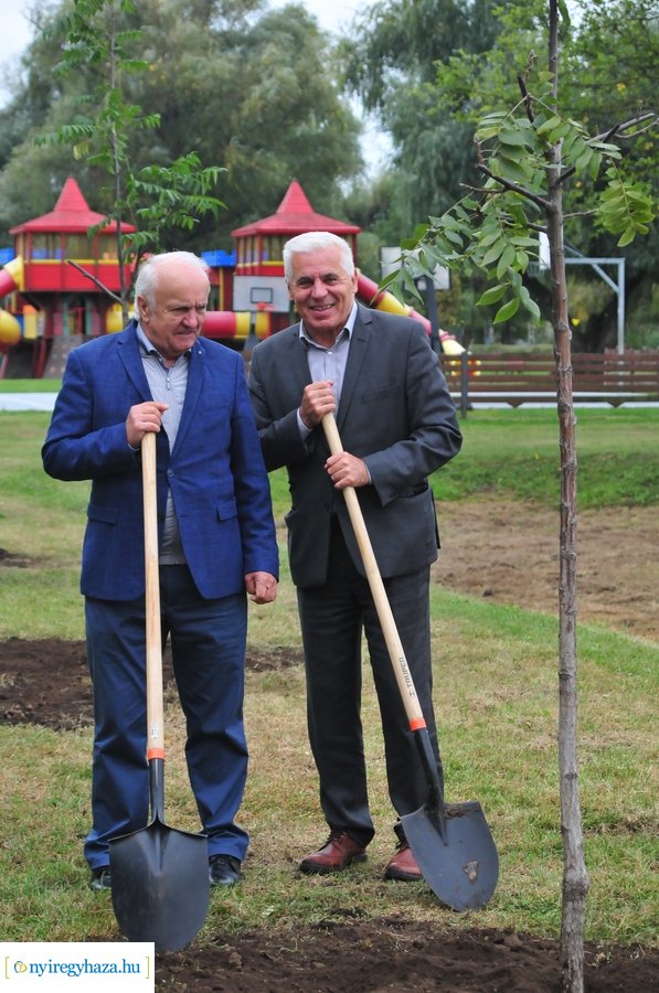 Faültetés a Bujtosi Városligetben 20231009