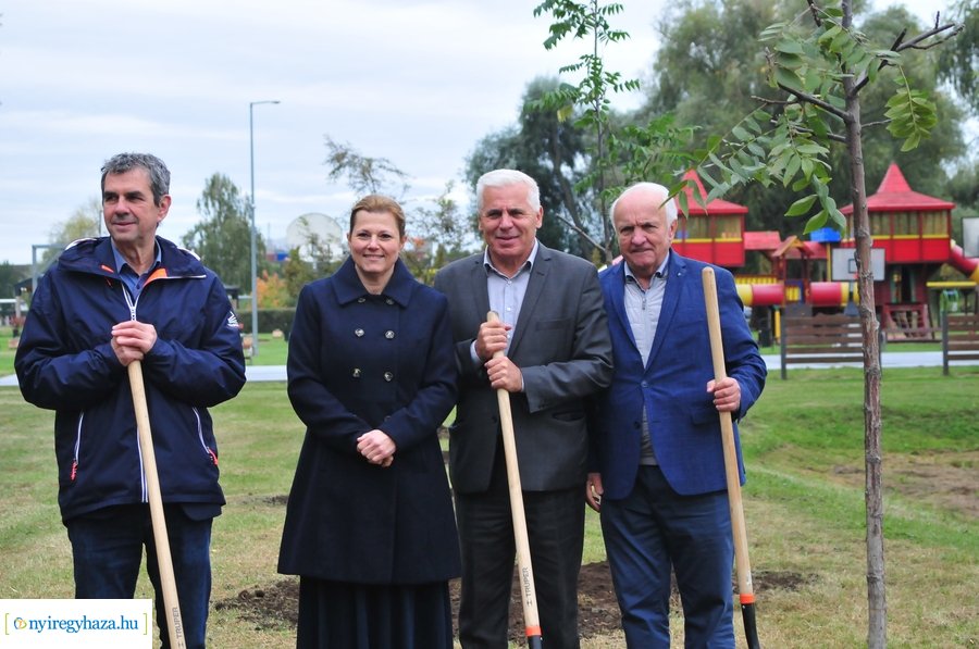 Faültetés a Bujtosi Városligetben 20231009