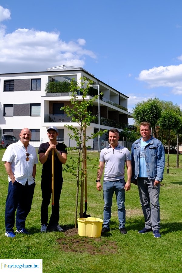 Faültetés a Bujtoson 2021 06 03