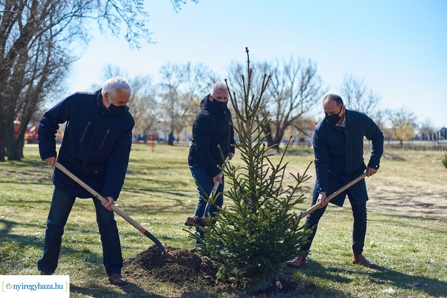 Faültetés a Bujtoson