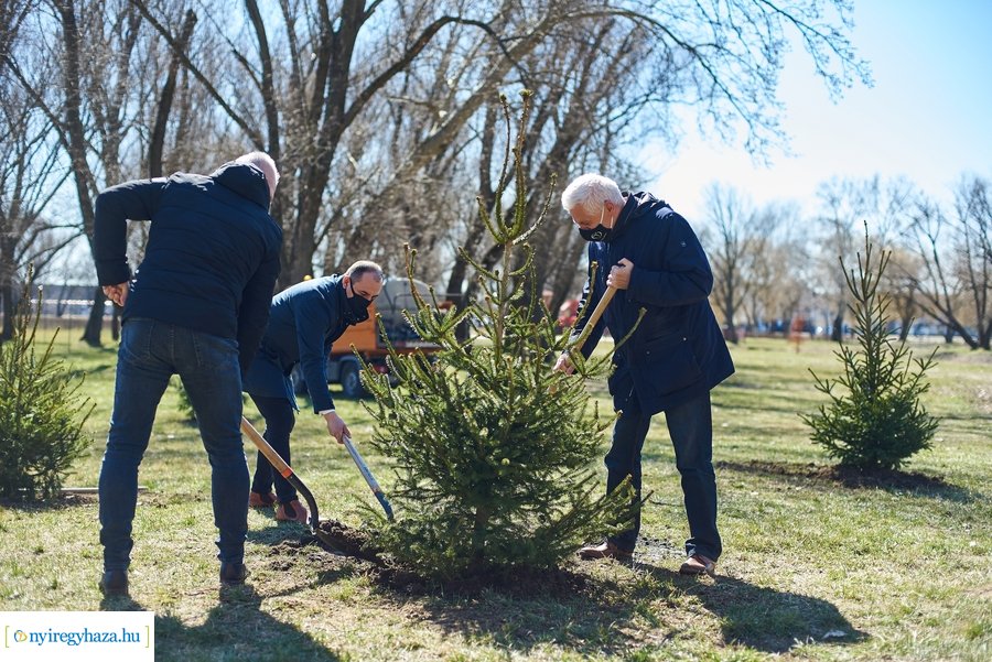 Faültetés a Bujtoson