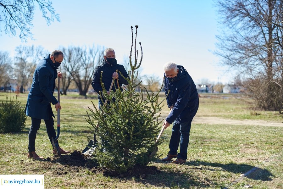 Faültetés a Bujtoson