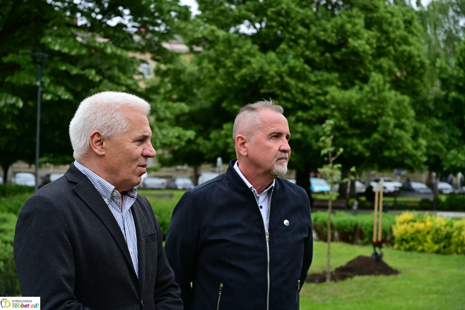 Faültetés a Hősök terén 2025 májusában