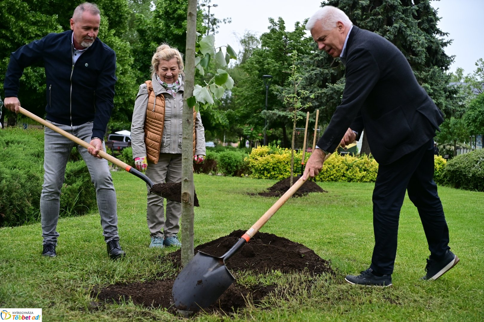 Faültetés a Hősök terén 2025 májusában