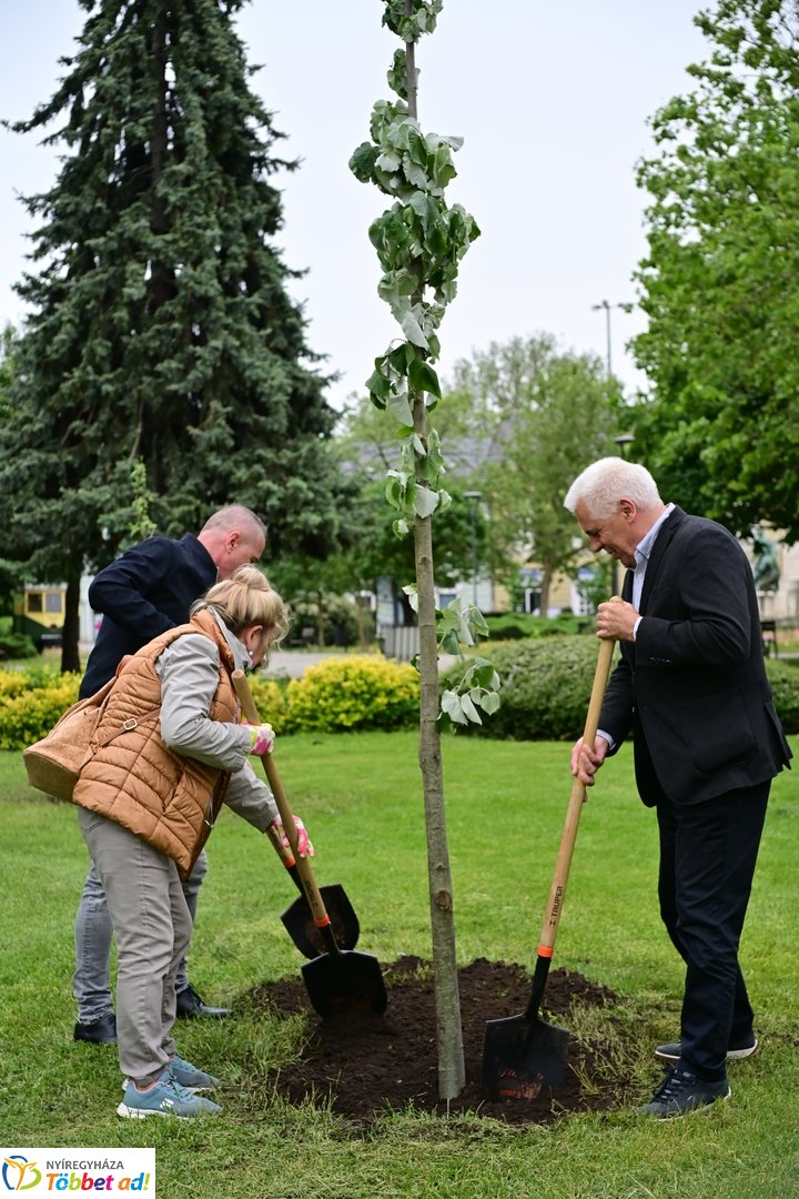 Faültetés a Hősök terén 2025 májusában