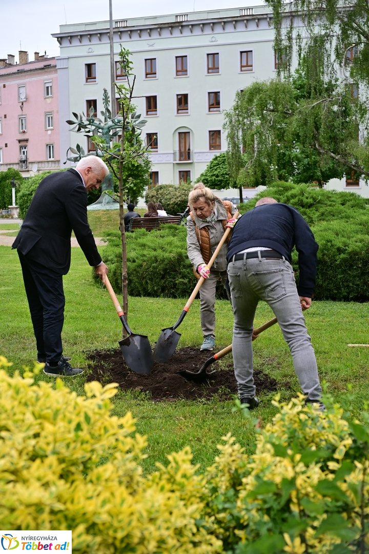 Faültetés a Hősök terén 2025 májusában