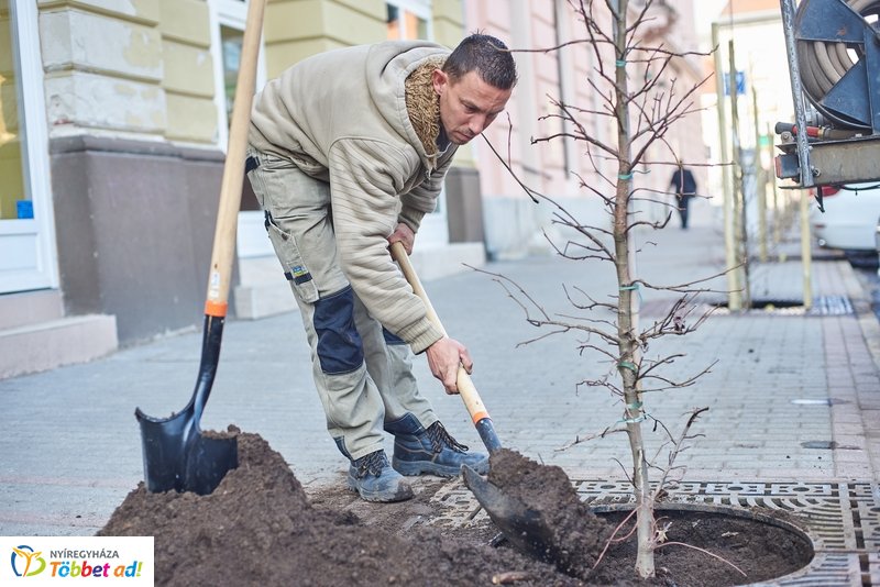 Faültetés a Hősök terén
