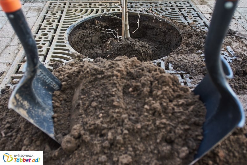 Faültetés a Hősök terén