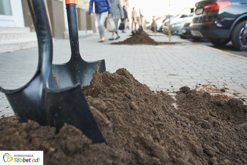 Faültetés a Hősök terén