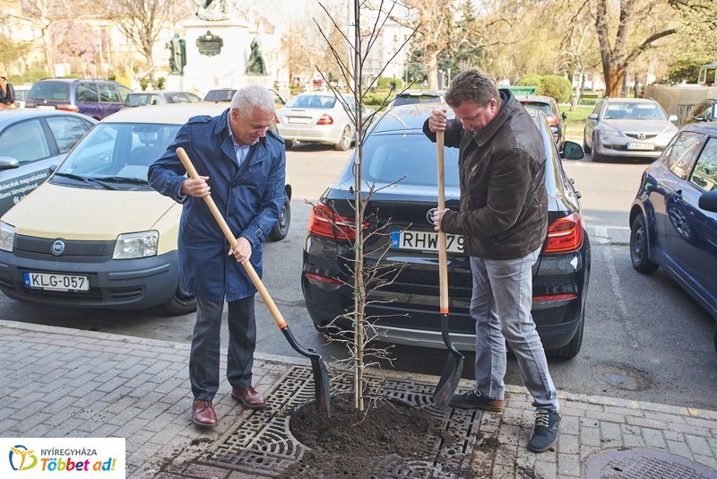 Faültetés a Hősök terén