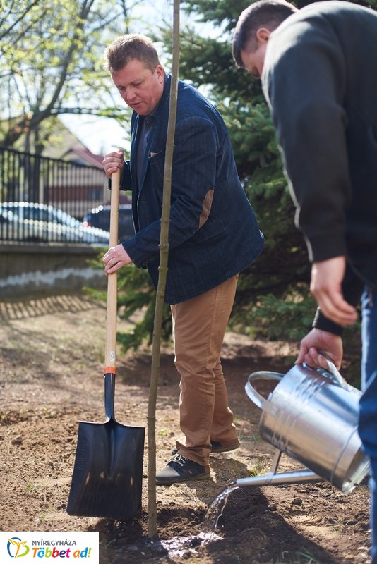 Faültetés a kertvárosi iskolában