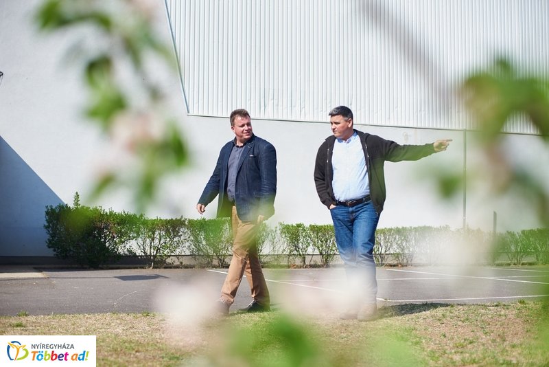 Faültetés a kertvárosi iskolában