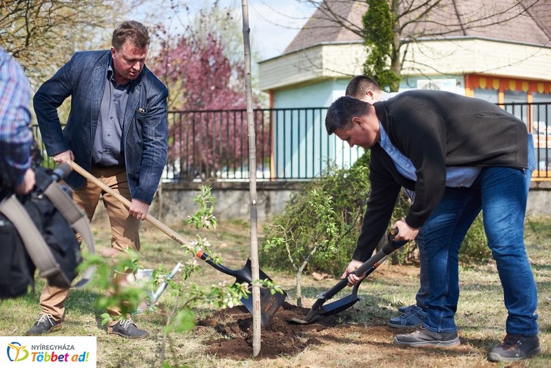 Faültetés a kertvárosi iskolában