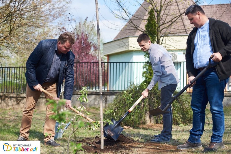 Faültetés a kertvárosi iskolában
