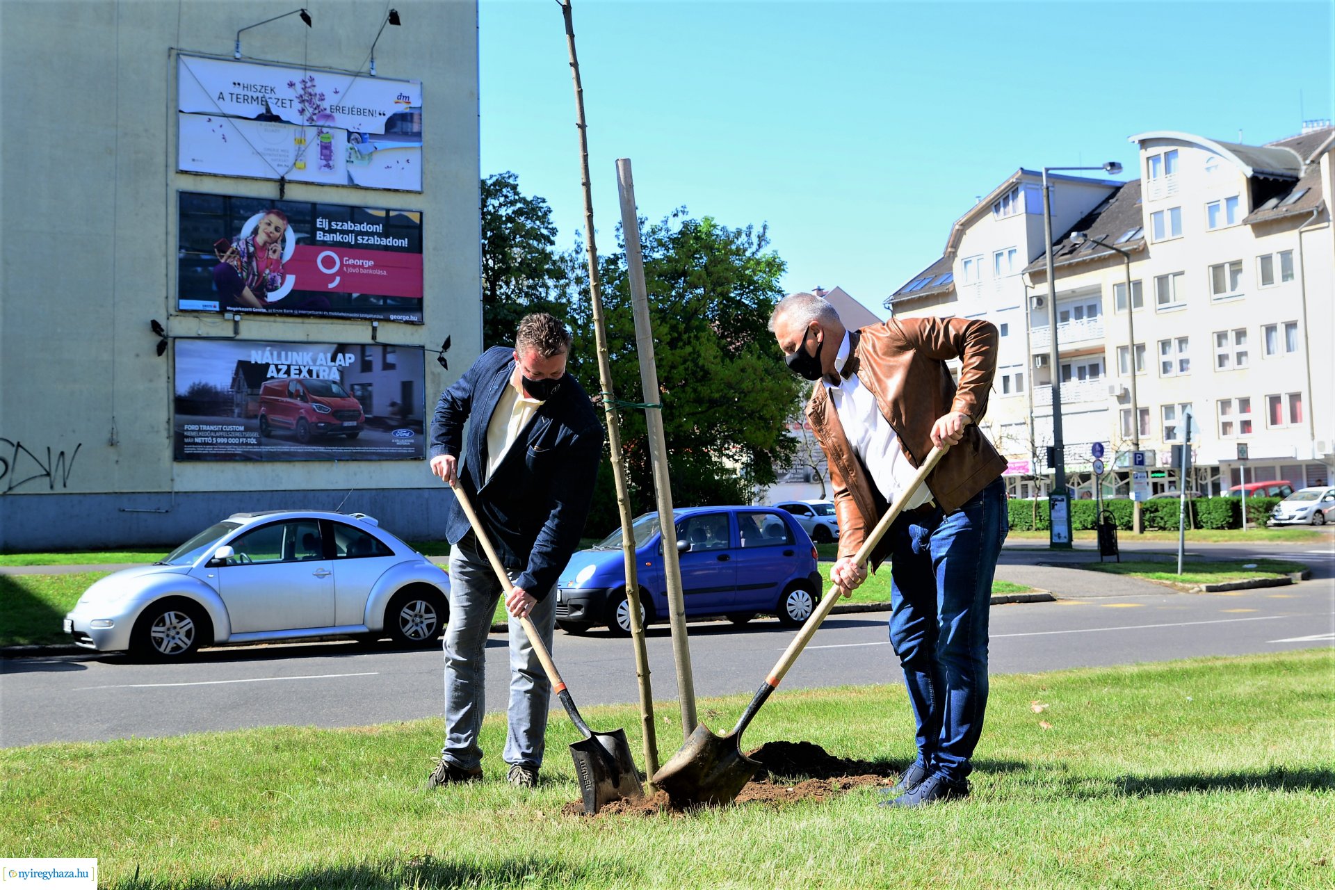 Faültetés a Kossuth utca-Sarkantyú utca sarkán