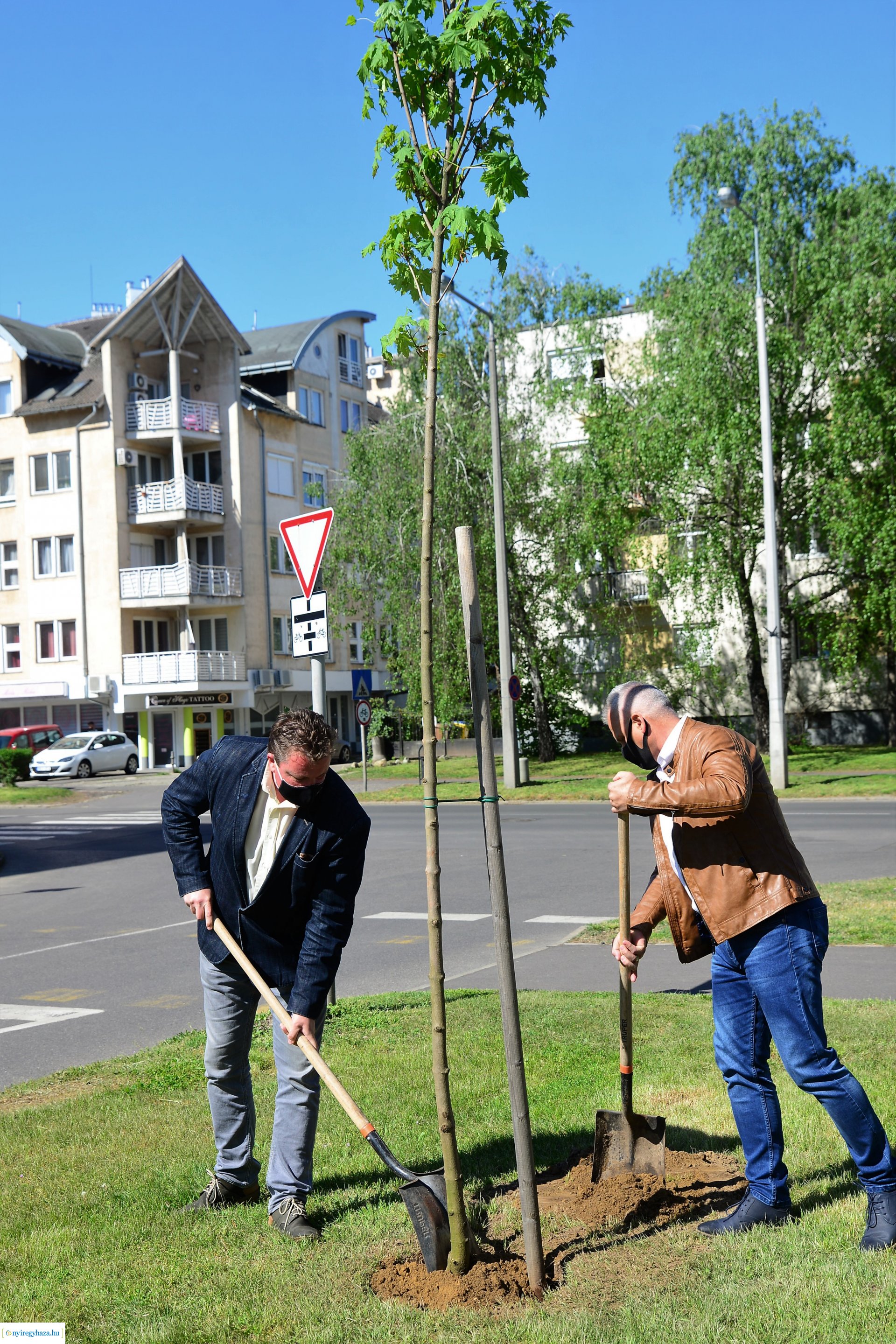 Faültetés a Kossuth utca-Sarkantyú utca sarkán