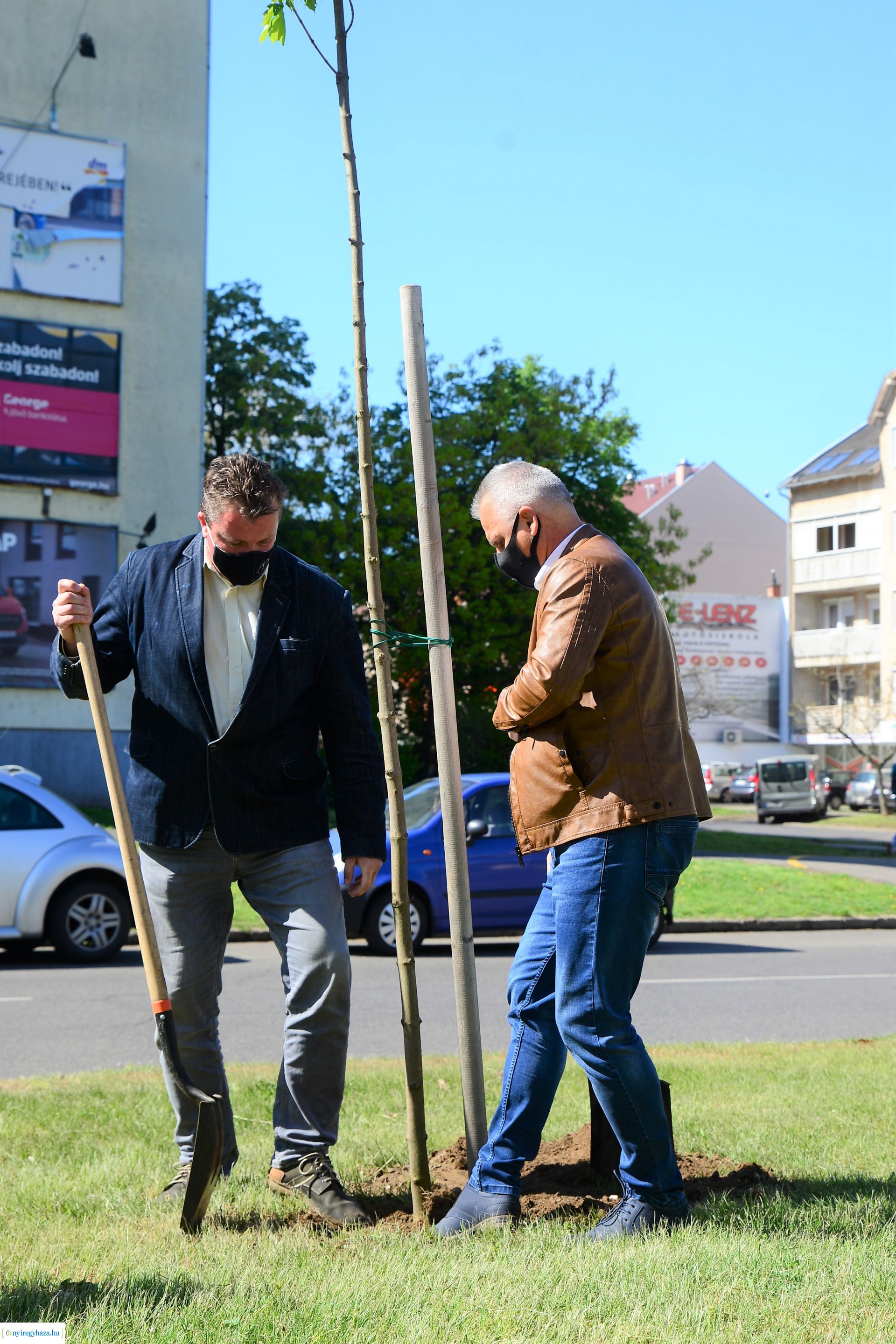 Faültetés a Kossuth utca-Sarkantyú utca sarkán