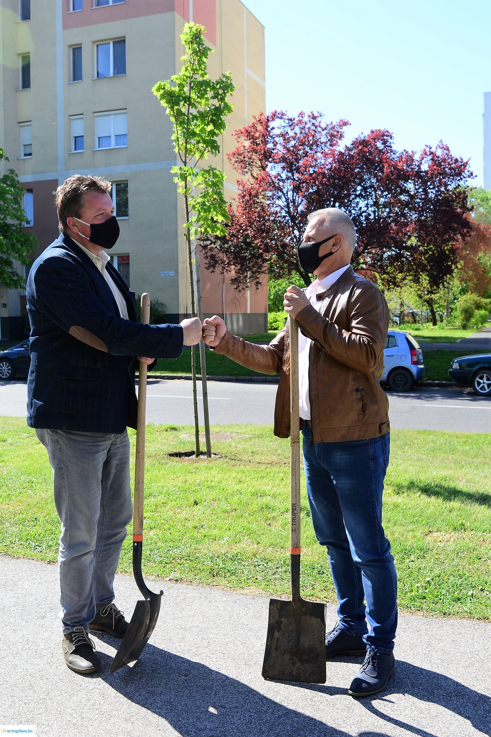 Faültetés a Kossuth utca-Sarkantyú utca sarkán