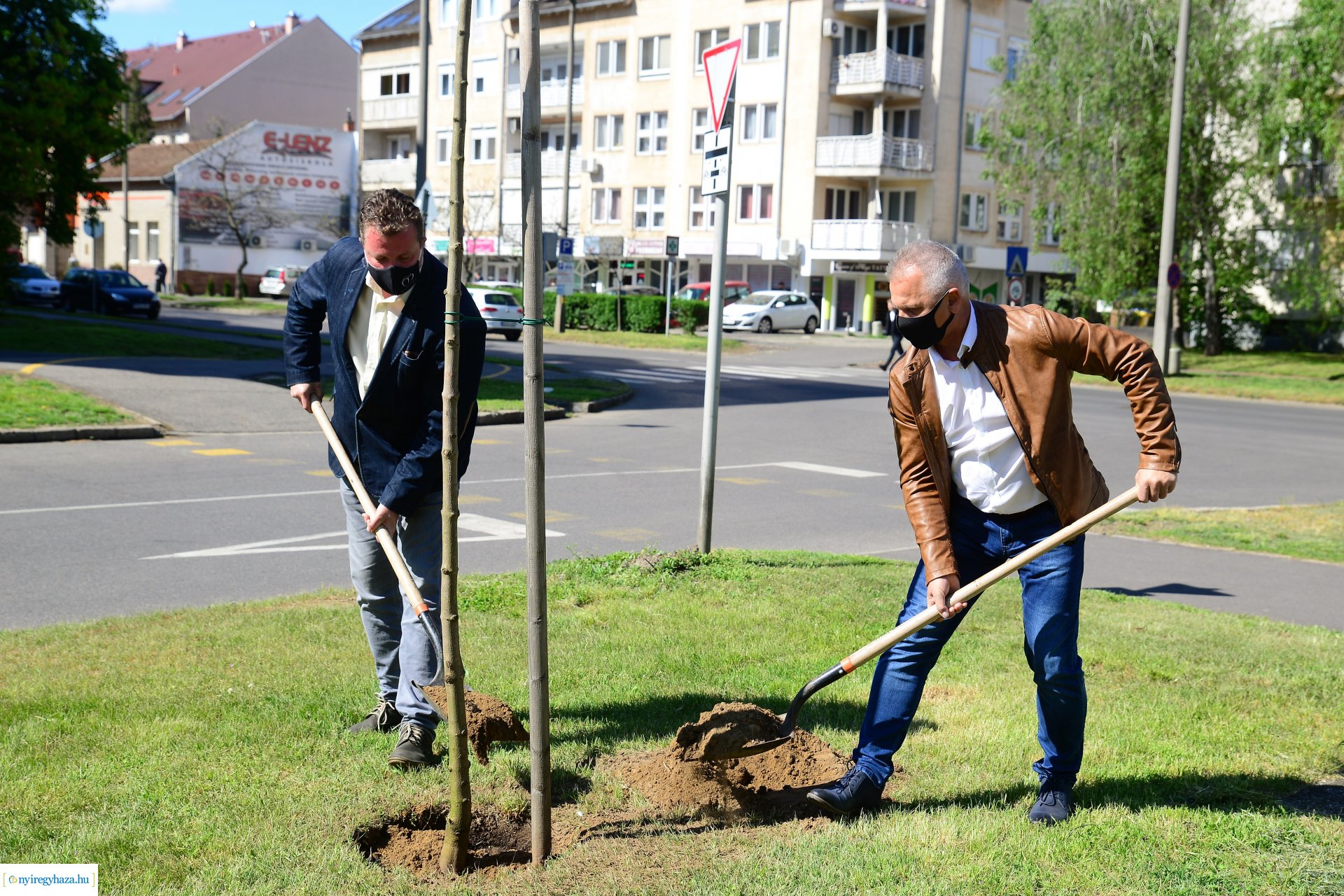 Faültetés a Kossuth utca-Sarkantyú utca sarkán