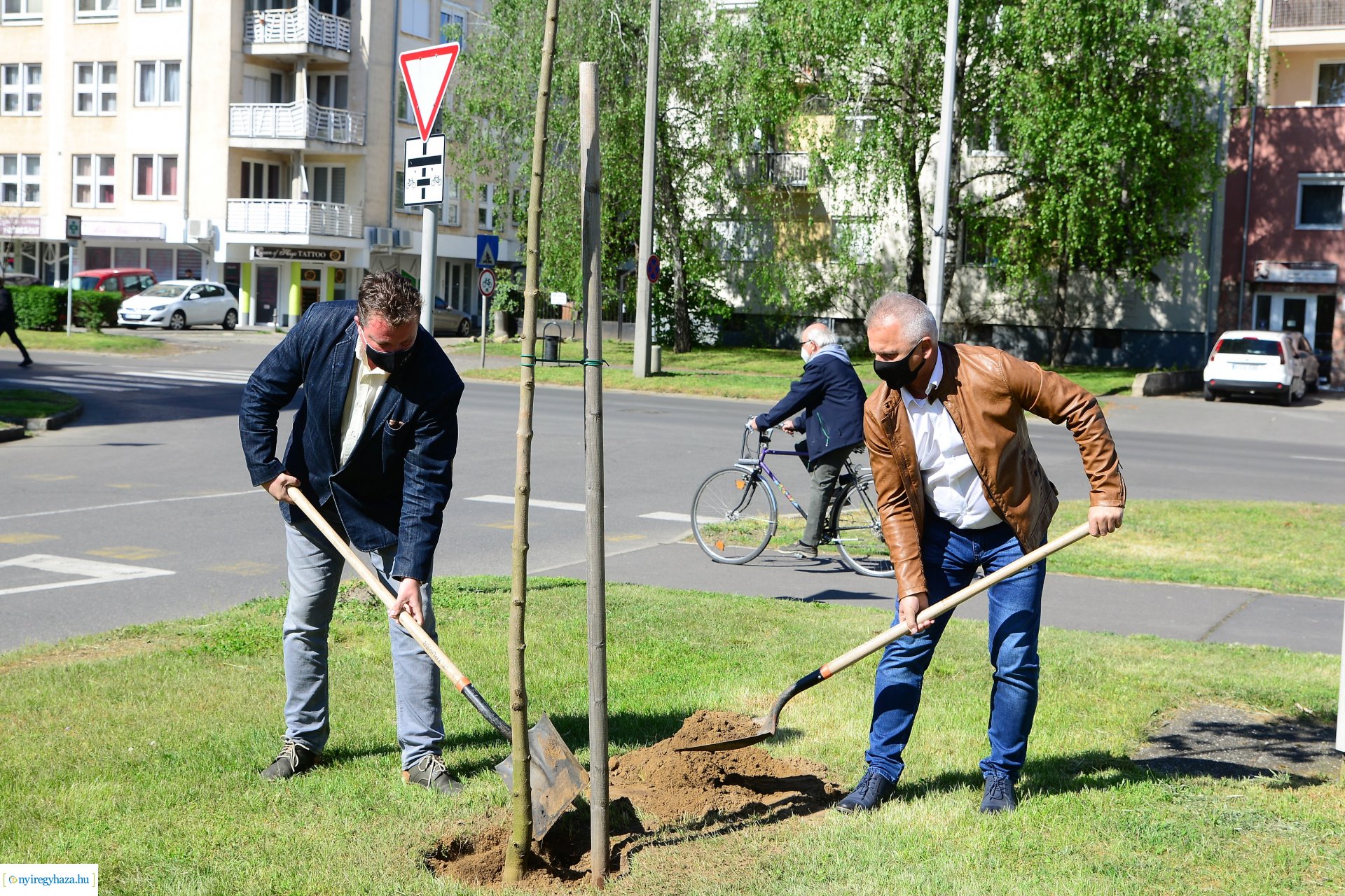 Faültetés a Kossuth utca-Sarkantyú utca sarkán