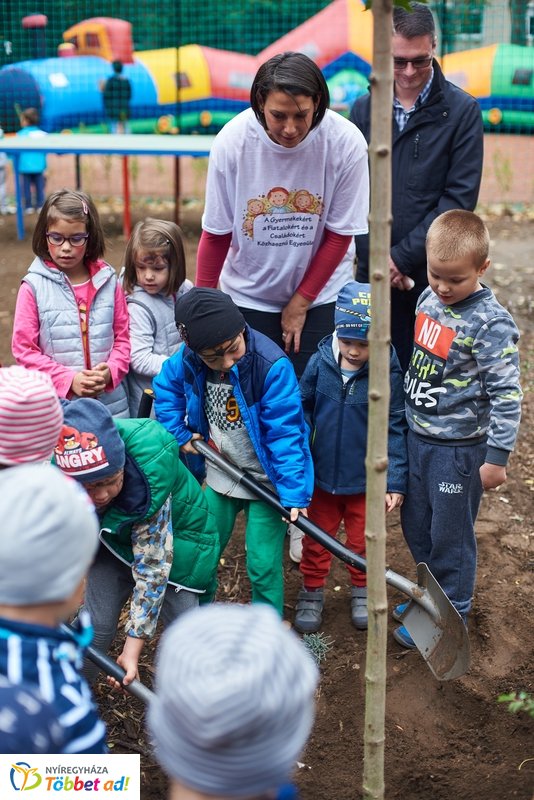 Faültetés a Május 1 téren