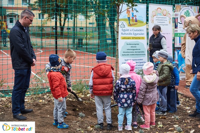 Faültetés a Május 1 téren