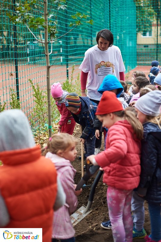 Faültetés a Május 1 téren