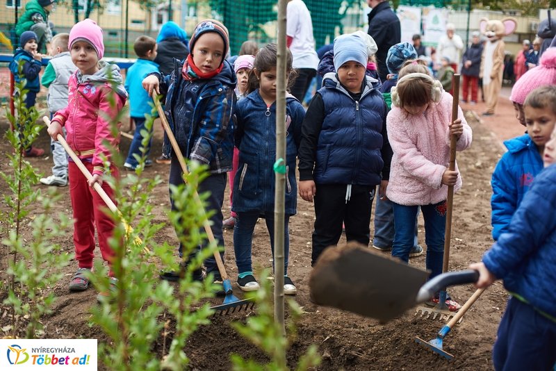 Faültetés a Május 1 téren