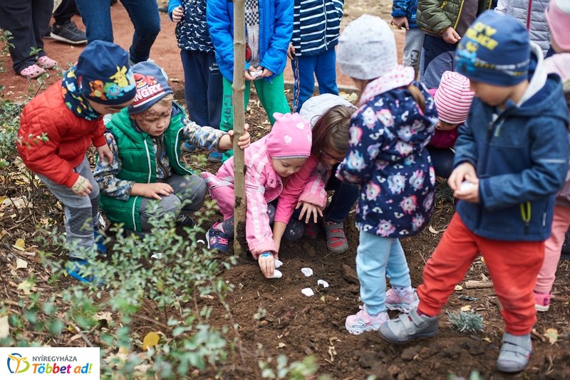 Faültetés a Május 1 téren