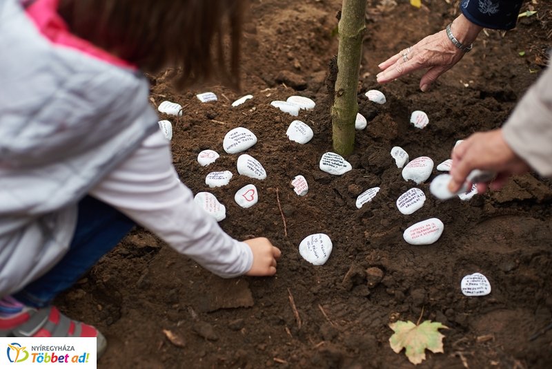 Faültetés a Május 1 téren