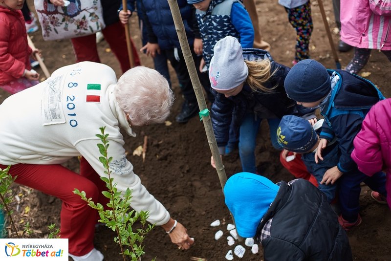 Faültetés a Május 1 téren