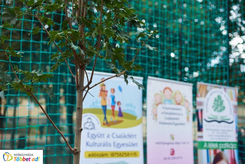 Faültetés a Május 1 téren