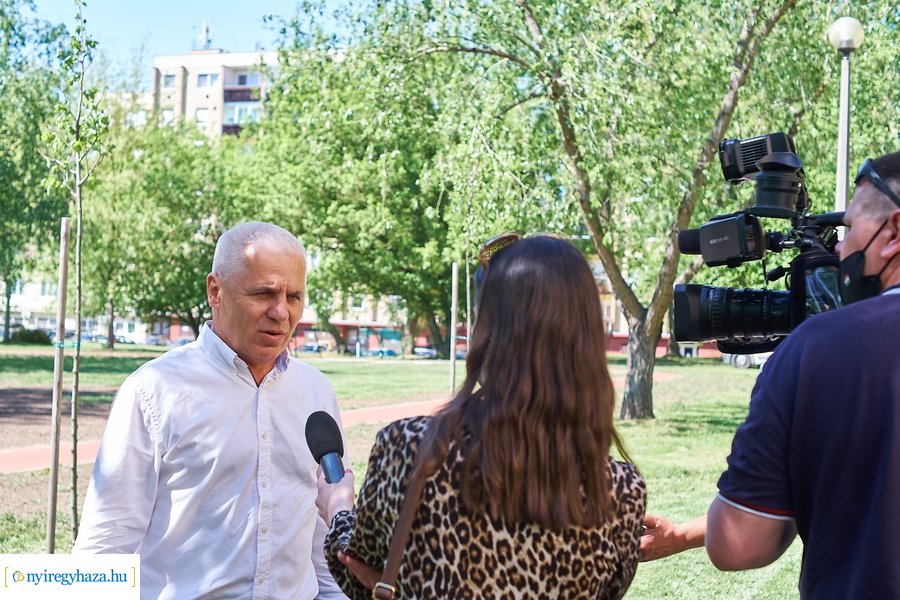 Faültetés a Malomkertben