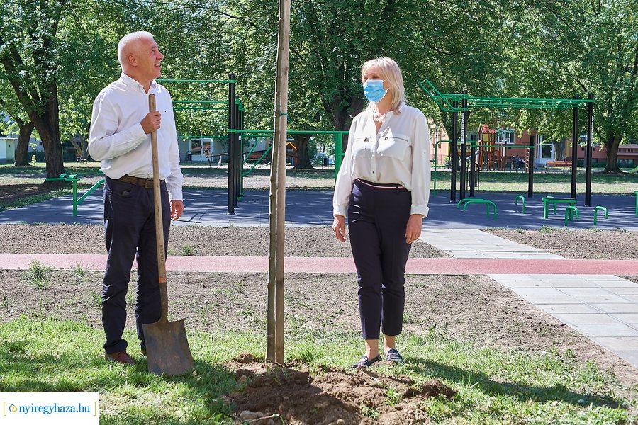 Faültetés a Malomkertben