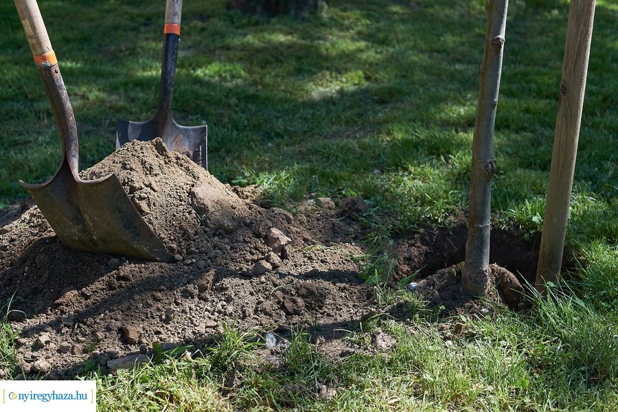 Faültetés a Malomkertben