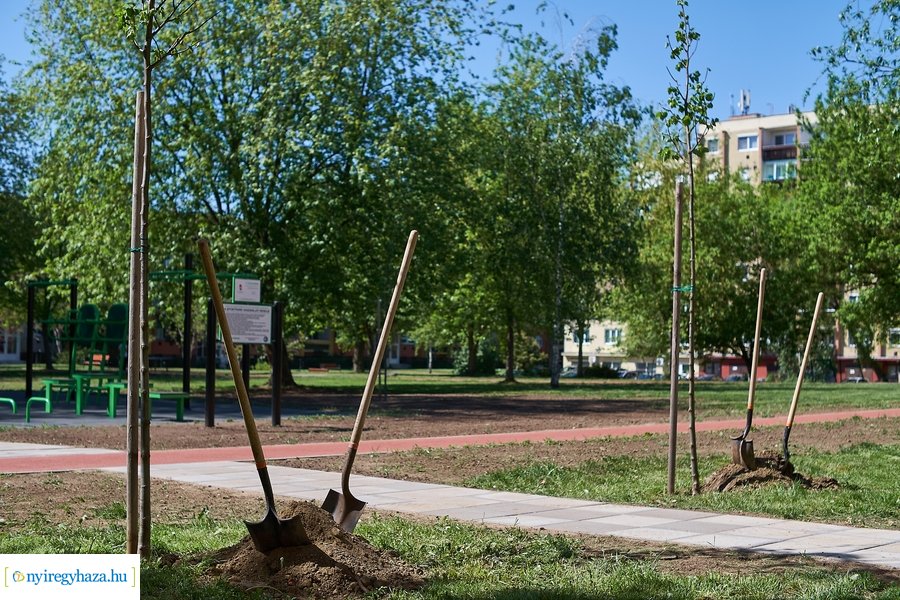 Faültetés a Malomkertben