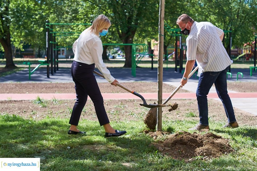 Faültetés a Malomkertben
