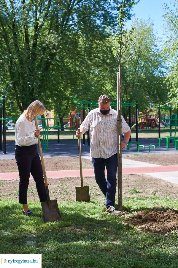Faültetés a Malomkertben