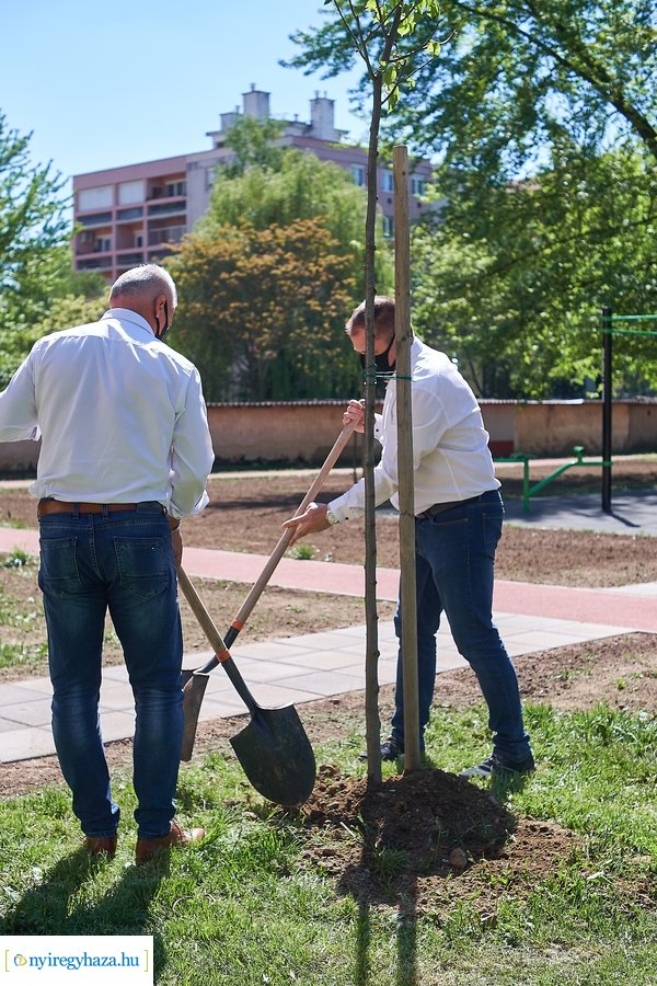 Faültetés a Malomkertben