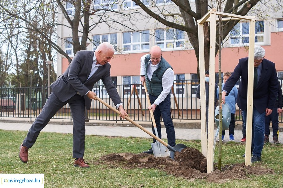 Faültetés a Móricz iskola előtt