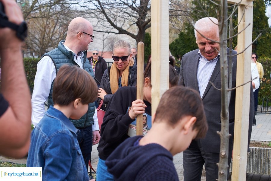 Faültetés a Móricz iskola előtt