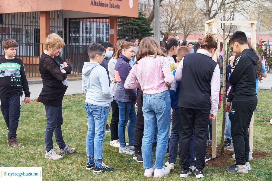 Faültetés a Móricz iskola előtt