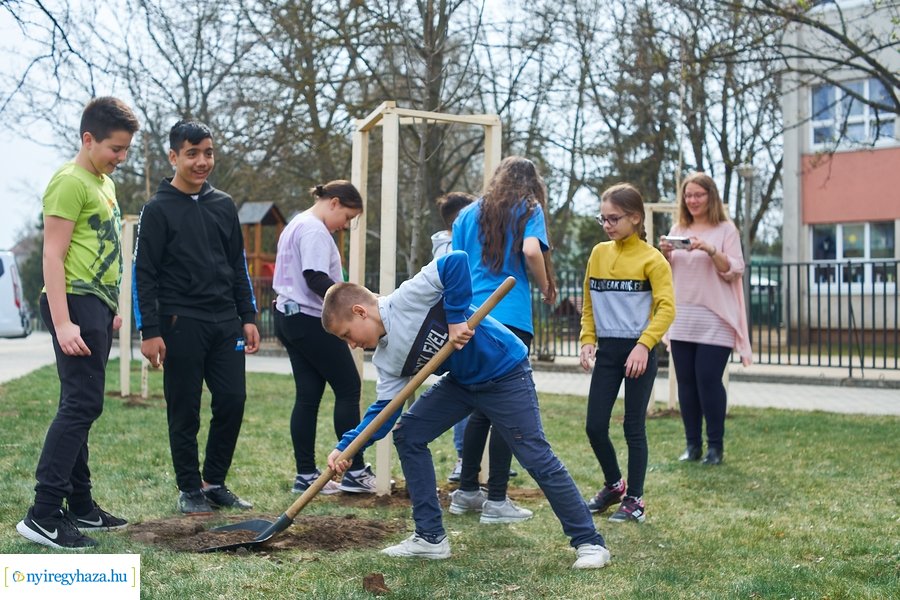 Faültetés a Móricz iskola előtt